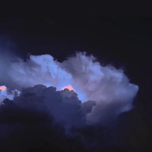 日本三级片在线
